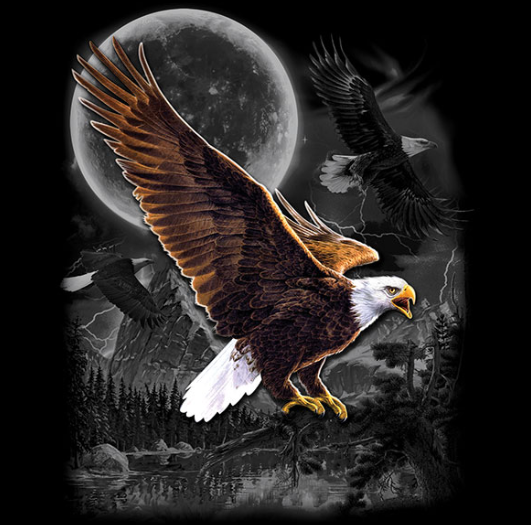 Eagle Wilderness Minky Blanket