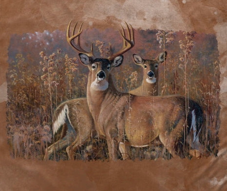 Fall Courtship Minky Blanket