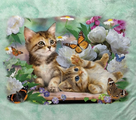 Playtime Kitten Minky Blanket