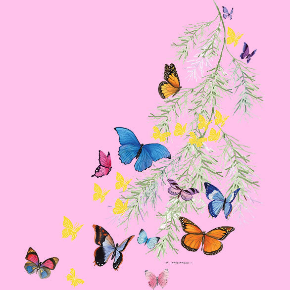 Butterfly Shoulder