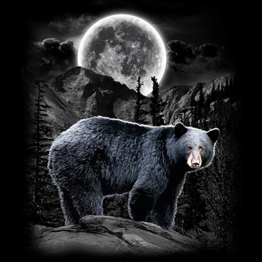 Black Bear Wilderness Minky Blanket