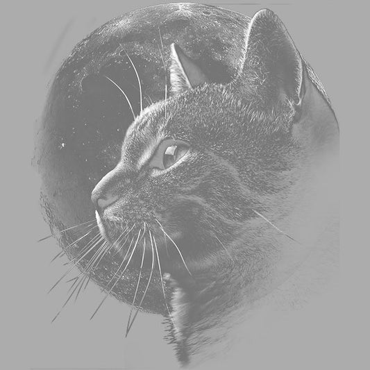Cat Moon