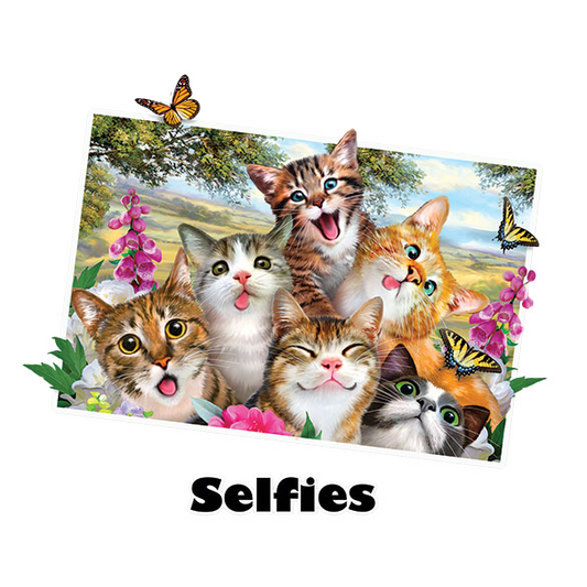 Cat Selfie - SOLAR