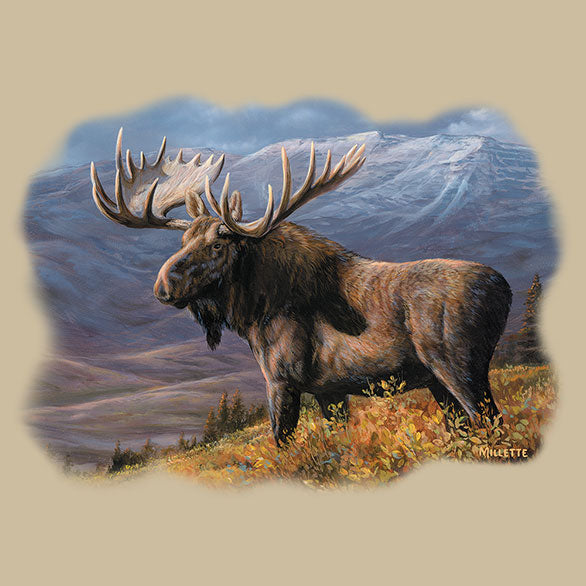 Cooper Moose
