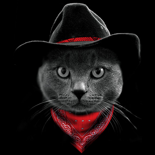 Cowboy Cat