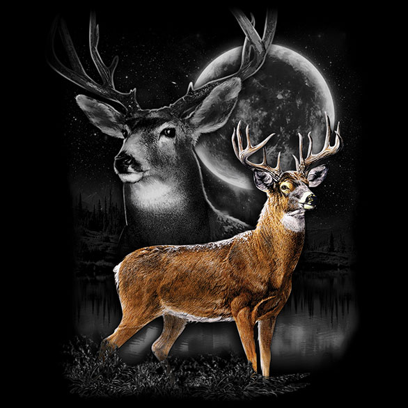 Deer Wilderness