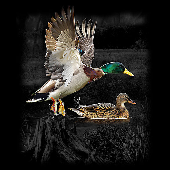Duck Wilderness