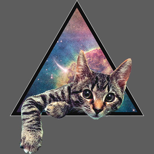 Galactic Cat