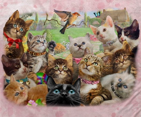 Kitten and Bird Minky Blanket