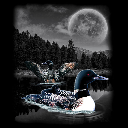 Loon Wilderness