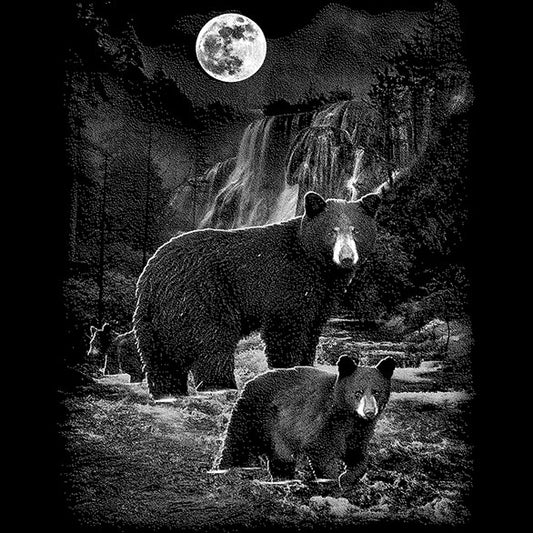 Night Bears