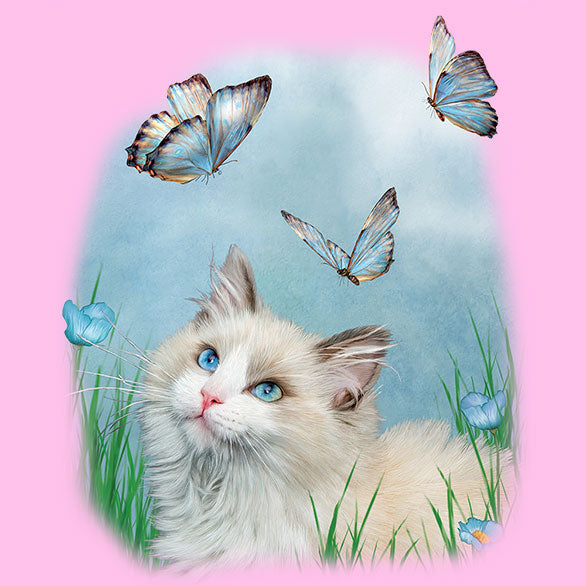 Ragdoll and Butterflies