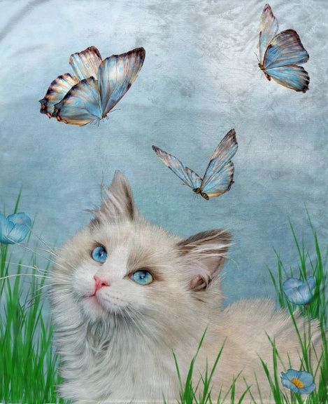 Ragdoll & Butterflies Minky Blanket