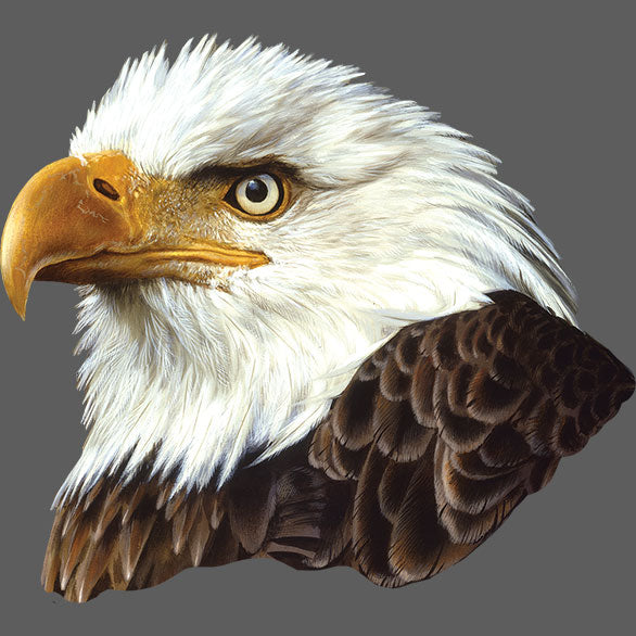 Threatened Symbol