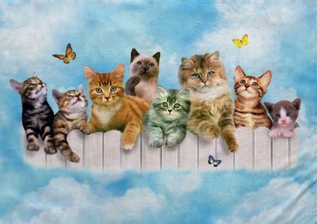 The Girls Club Minky Blanket