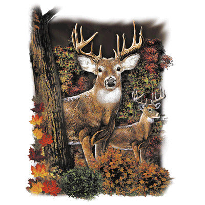 Whitetail Deer Country - SOLAR