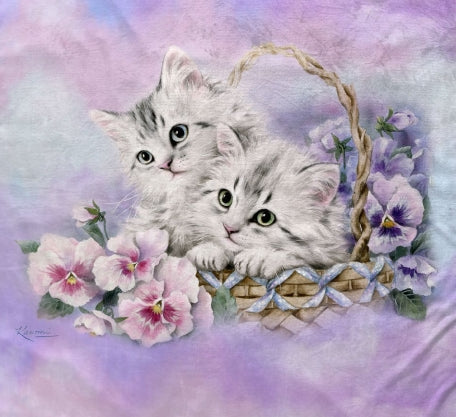 Wishful Thinking Minky Blanket