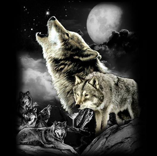 Wolf Wilderness Minky Blanket