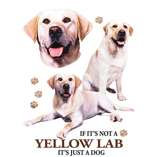 Yellow Lab